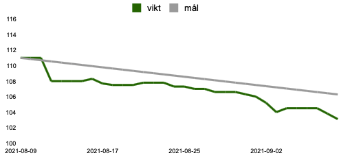 Första månaden med Keto